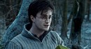 Warner Bros Discovery официально готова к продаже