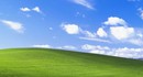 Оказывается, Microsoft поймали на использовании пиратского софта при создании Windows XP
