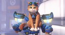Все способности и перки Реактивного Кота в Overwatch
