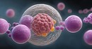 Учёные открыли молекулярный переключатель, способный обратить раковые клетки в нормальные