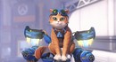 Игроки в восторге от креативного описания Кисы с джетпаком в Overwatch – игра побила рекорд онлайна в Steam