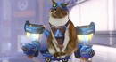 Фанаты Overwatch наряжают своих котов в Реактивного Кота и заполняют интернет очаровательными фотожабами