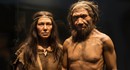 Исследование указывает на то, что самцы неандертальцев чаще скрещивались с самками Homo sapiens