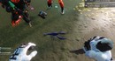 Игроки Marathon пытаются разгадать тайну разноцветного лобстера