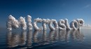 Microsoft попыталась заблокировать слово Microslop в Discord и проиграла
