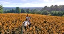 Переводчик Kingdom Come: Deliverance 2 рассказал, что его уволили и заменили ИИ