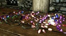 Коллекционеры драгоценных камней в Skyrim превращают внутреннего дракона в образ жизни