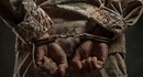Американский военный заработал 400 000 долларов на Polymarket делая инсайдерские ставки о захвате Мадуро – он арестован