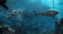 В ремейке Assassin's Creed Black Flag можно будет стать Акваменом, включив возможность дышать под водой