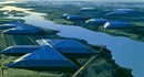 SpaceX подала заявку на строительство полупроводниковой фабрики за 55 миллиардов долларов в Техасе