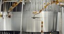 NASA впервые разогнала роторы марсианского вертолёта быстрее скорости звука – 3750 оборотов в минуту