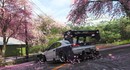 В Forza Horizon 6 нельзя уничтожить деревья сакуры – все остальные можно сносить ради очков