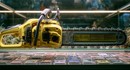 Житель Флориды с бензопилой украл коллекционных карточек Pokemon на 12 тысяч долларов