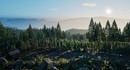 Prologue: Go Wayback! от создателя PUBG стала бесплатной – все покупатели могут вернуть деньги вне зависимости от наигранных часов
