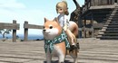 Правительство Японии обещает подарить косметические предметы и маунта в Final Fantasy XIV за уплату налогов