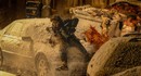 Режиссёр экранизации Resident Evil не смотрел ни одного фильма франшизы