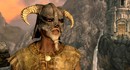Невиновный фанат Skyrim провёл 18 месяцев в тюрьме из-за пропущенного символа в никнейме
