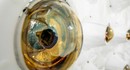 Детектор в заброшенной золотой шахте поймал событие, которое не объясняет ни одна известная физика