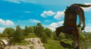 CD Projekt RED починила Плотву в ремастере The Witcher 3, но позволит игрокам вернуть её баги