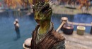 Игрок в Skyrim понял, что он идиот, когда зачаровал шлем на водное дыхание при игре за аргонианина