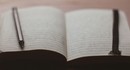 Жительница Флориды вела дневник в Claude, а Anthropic передала запись полиции – ей грозит до 15 лет