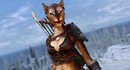История расы каджитов и почему в Daggerfall они выглядят совсем иначе, чем в Skyrim