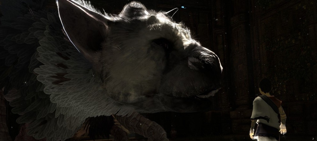 Срок действия торговой марки The Last Guardian истек и не продлен