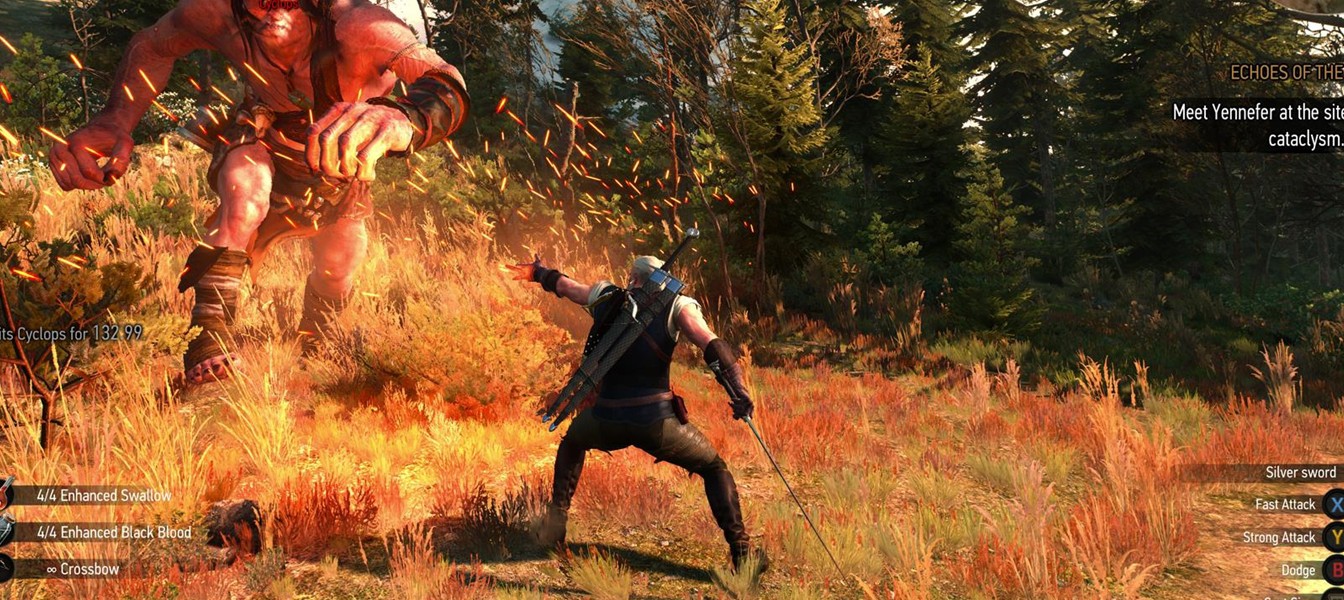Еще больше скриншотов The Witcher 3: Wild Hunt