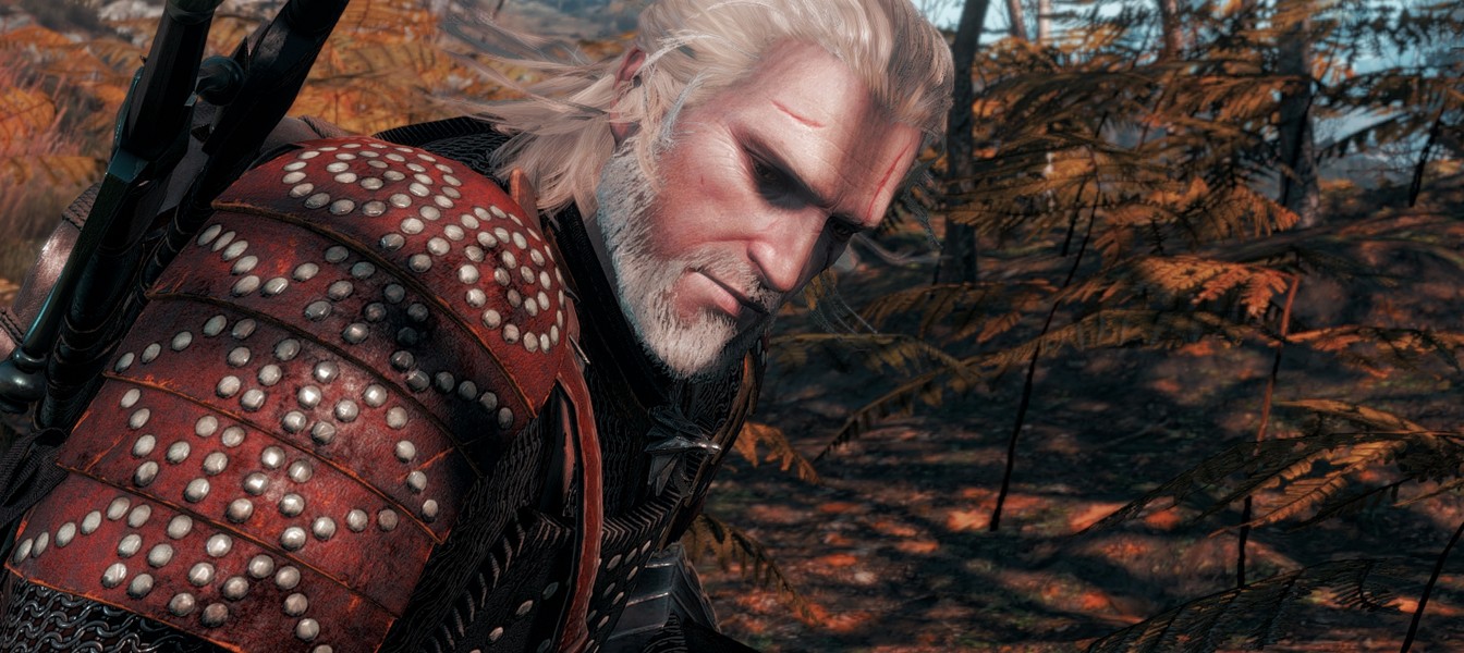Patch for the witcher 3 фото 75