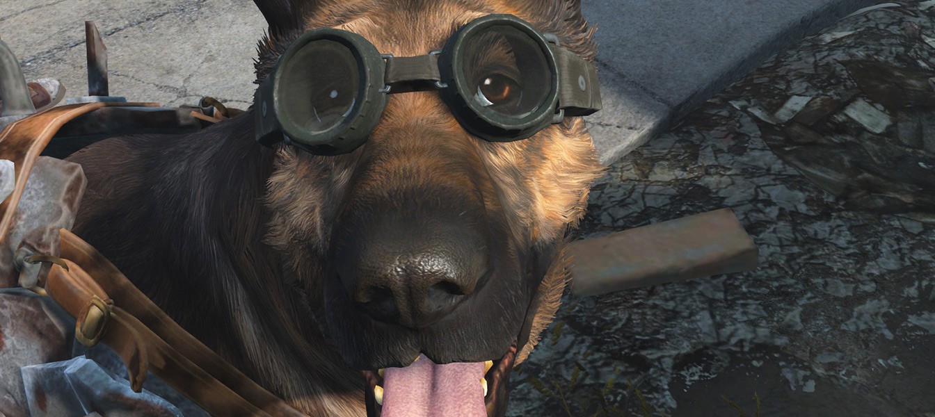 Курьезы Fallout 4: Пес, ну куда ж ты прешь!?... и другие глупости Псины