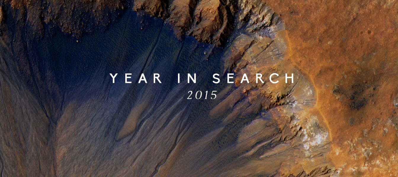 Поисковые запросы Google за 2015 год
