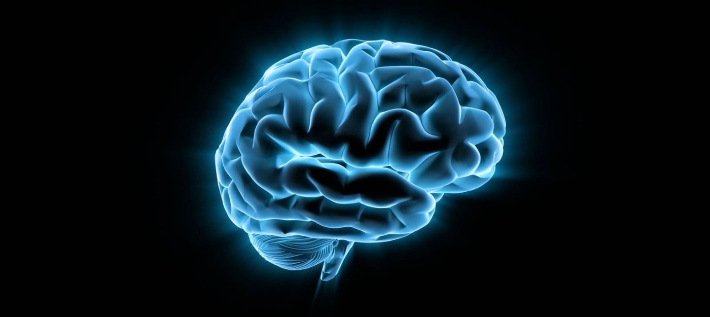 Новая техника позволяет лучше рассмотреть структуру связей в мозгу