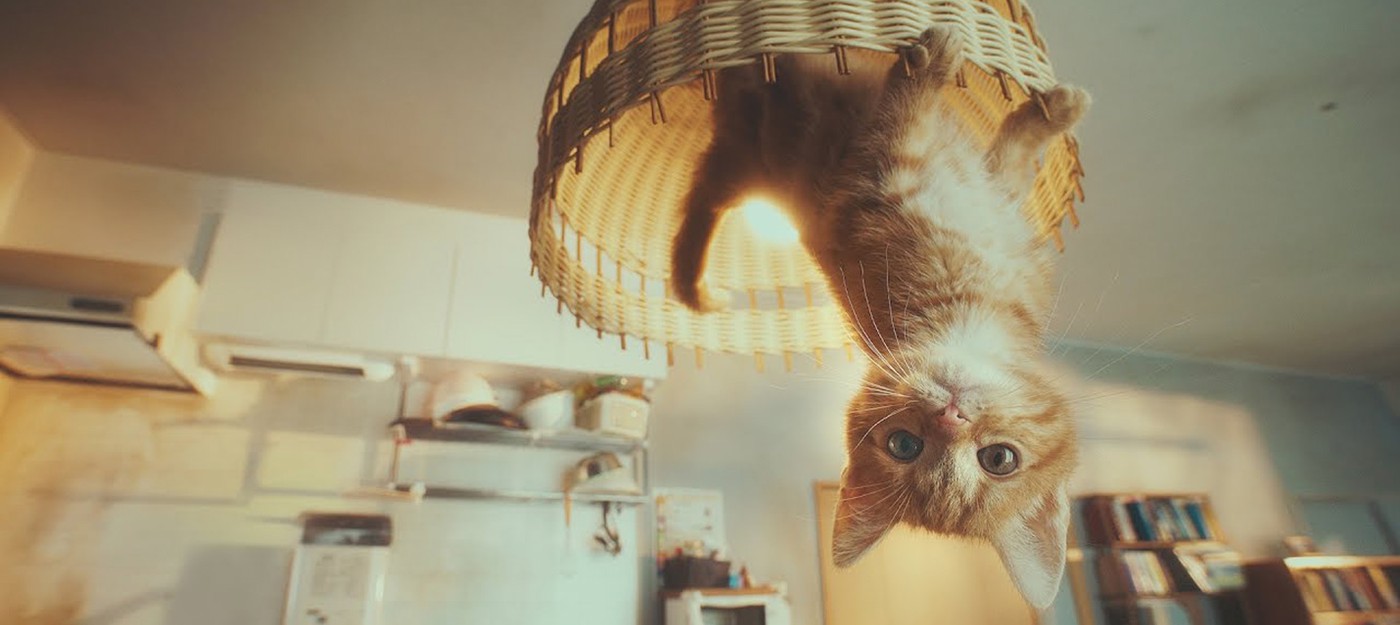 Рекламный ролик Gravity Rush 2 с Грави-котенком сняли подобно Inception