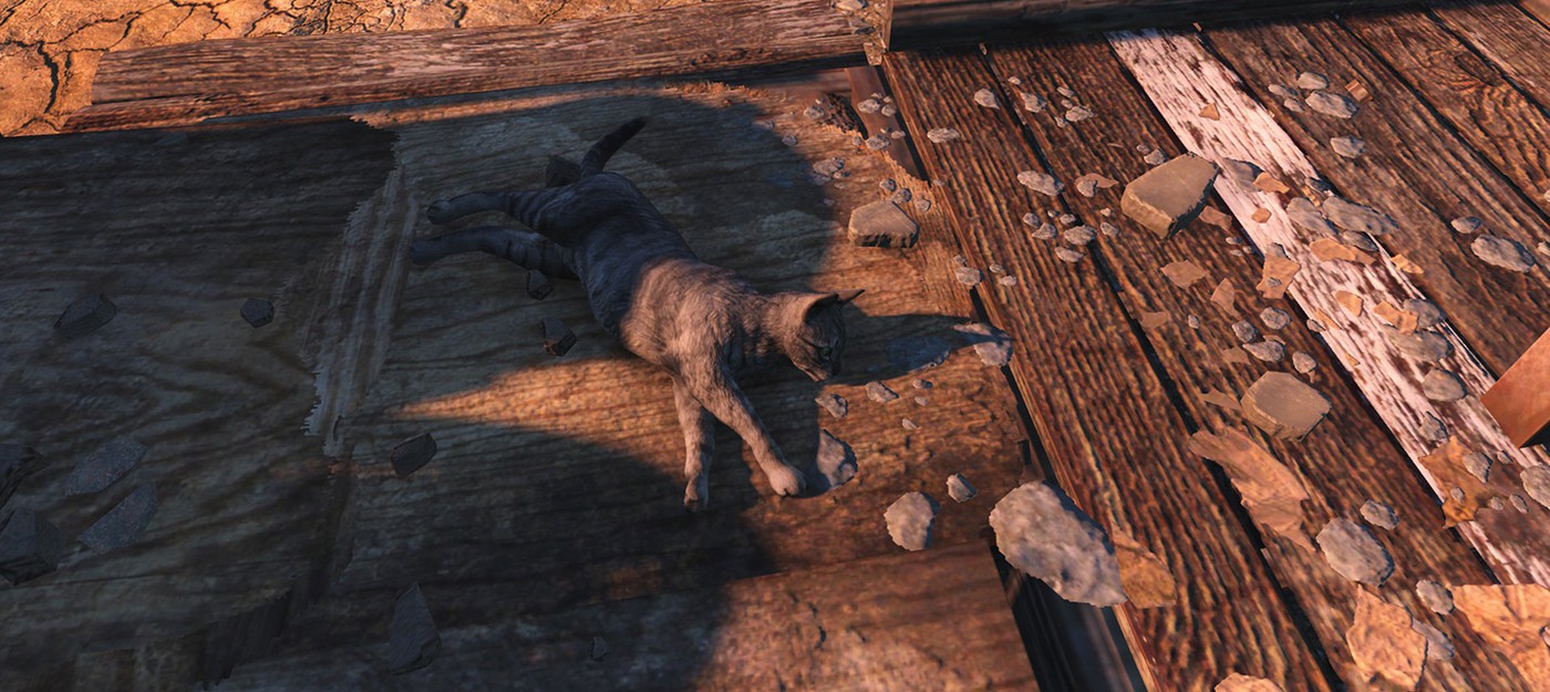 Популярный радио-мод Fallout 4 работает на невидимых кошках