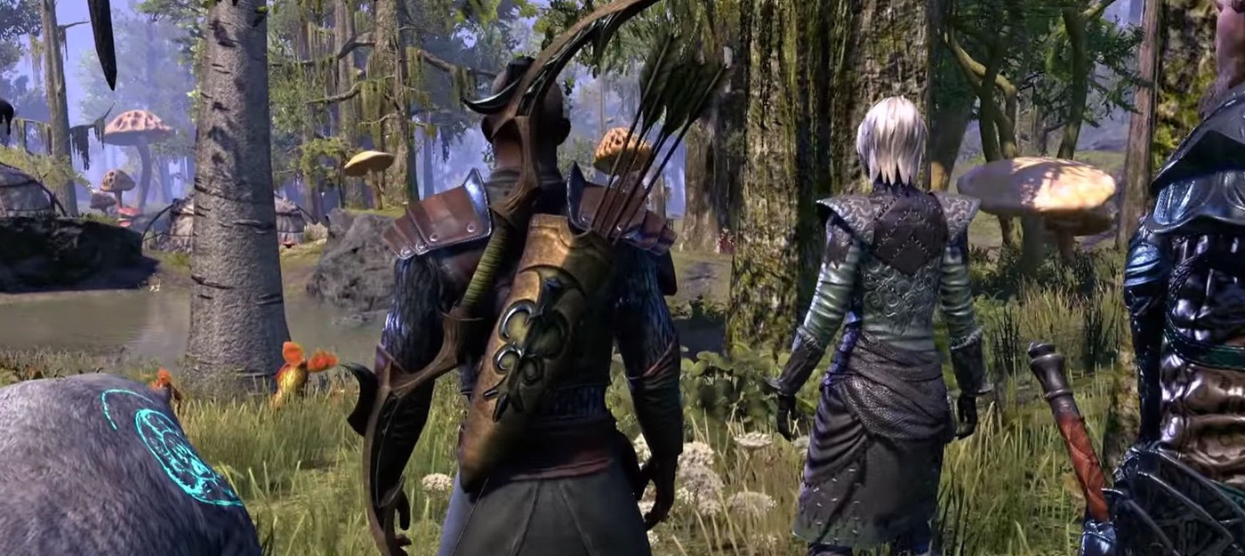 Трейлер The Elder Scrolls Online: Morrowind представил новый игровой класс — Warden