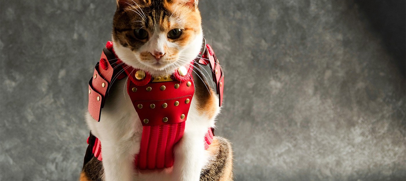 В Японии можно купить самурайскую броню для собак и кошек