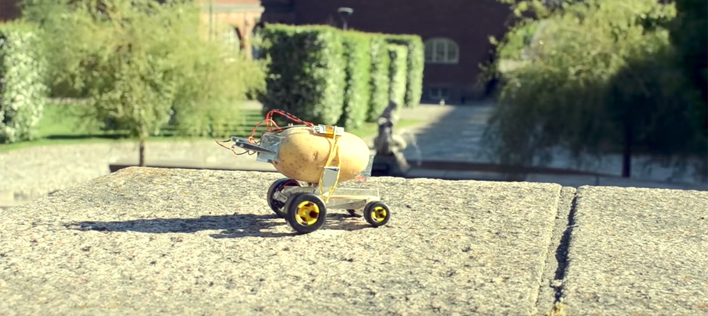 Изобретатель превратил картошку в роботизированного питомца. Безумие!
