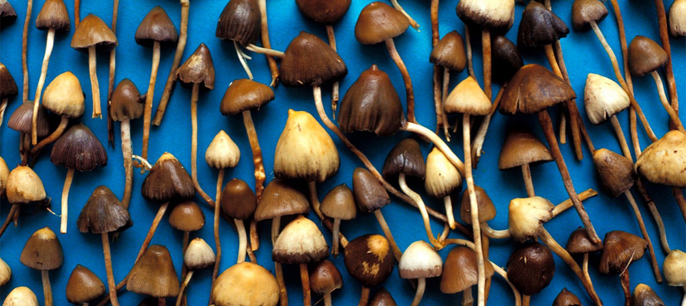 Британские ученые полагают, что магические грибы помогают от депрессии