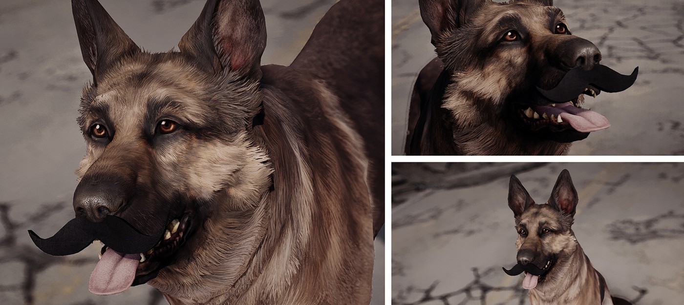 Мод на усатого пса в честь небритября в Fallout 4