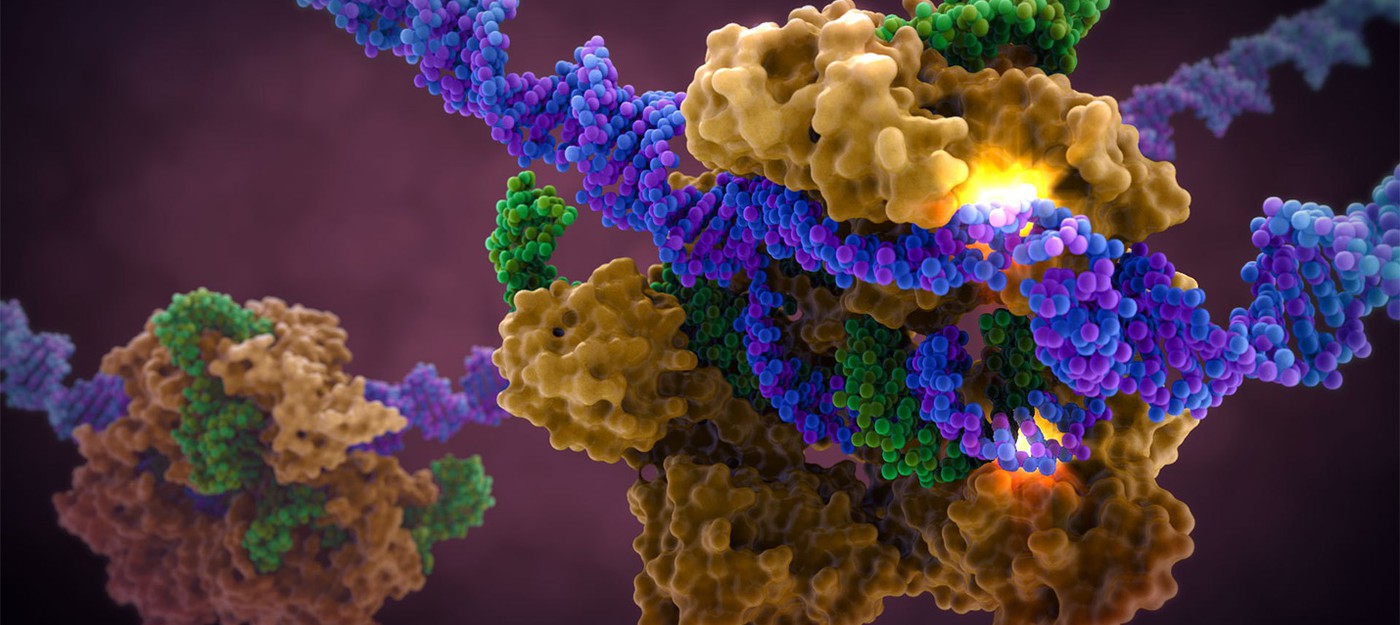 Клинические испытания генной терапии на основе CRISPR могут начаться в 2018 году