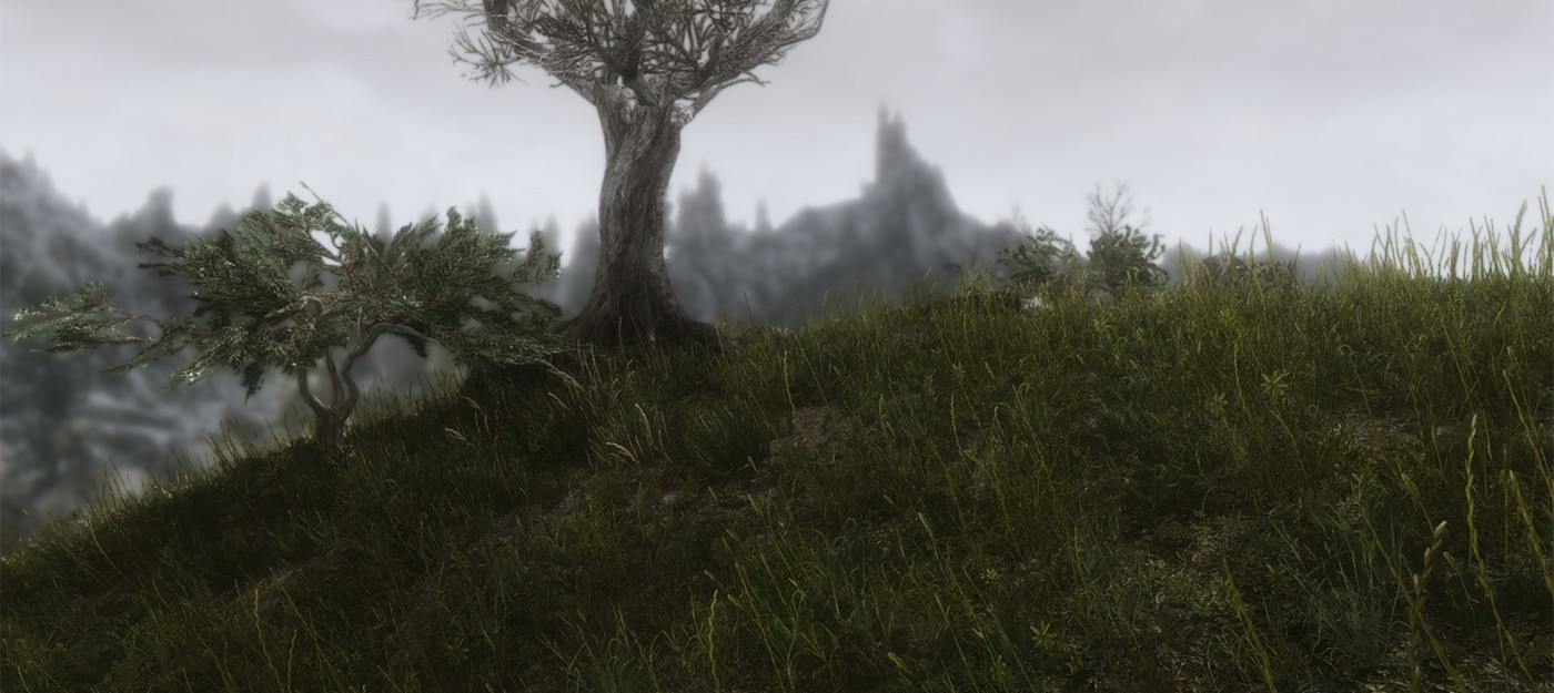 Новая версия мода Skyrim для потрясающе красивой травы