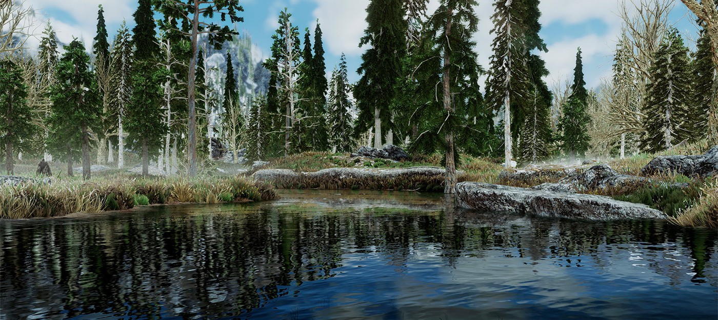 Новый мод добавляет 2K-текстуры ландшафта в Skyrim