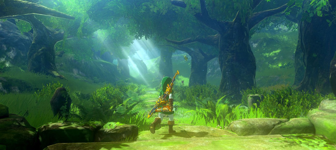 Игрок прошел The Legend of Zelda: Breath of the Wild на 100% за 325 часов