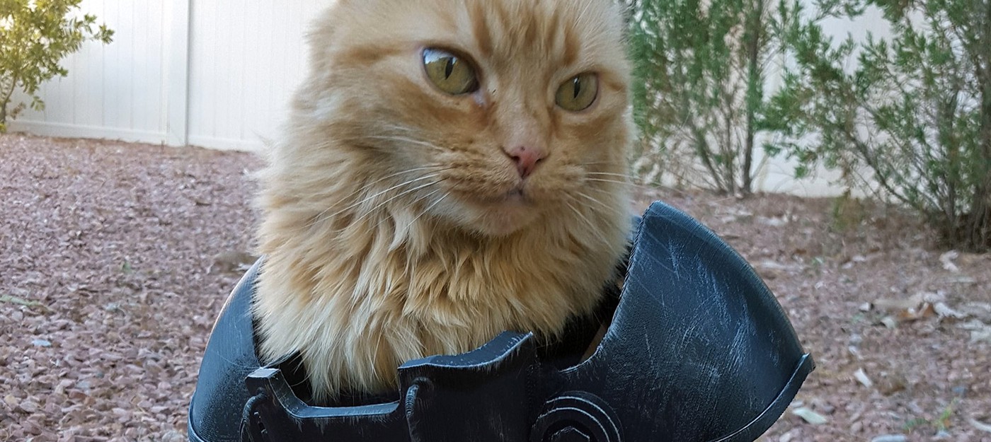 Геймер сделал силовую броню из Fallout для своей кошки