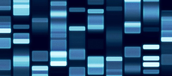 Sunday Science: 700 Терабайт в одном грамме ДНК
