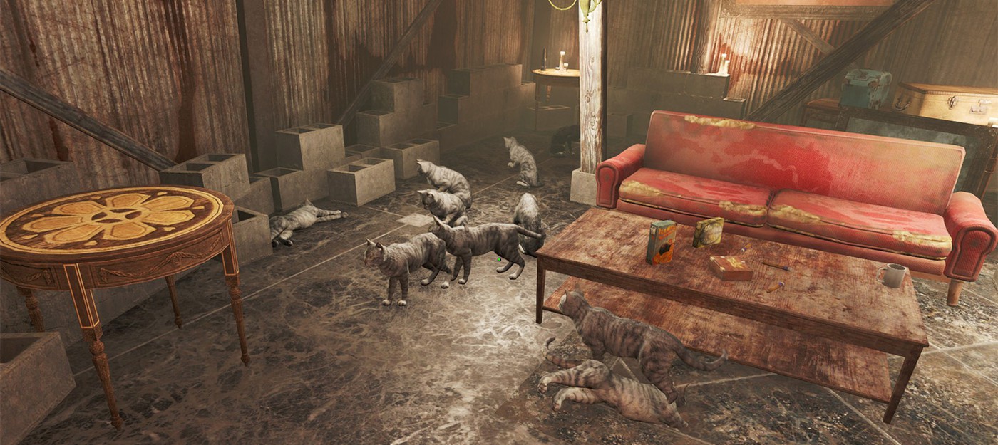 В Fallout 76 можно есть котов, но нельзя гладить их