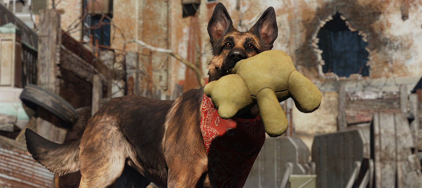 В Fallout 76 нельзя заводить собаку