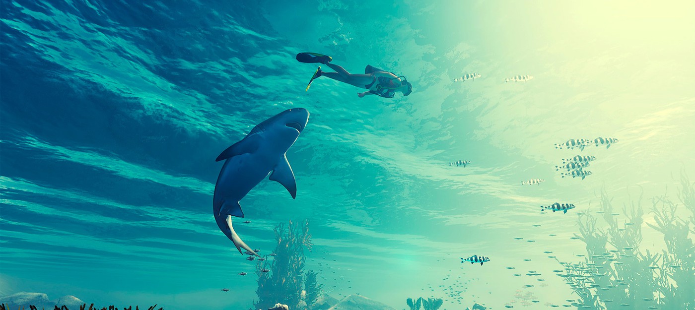 Симулятор акулы выйдет эксклюзивно в магазине Epic Games