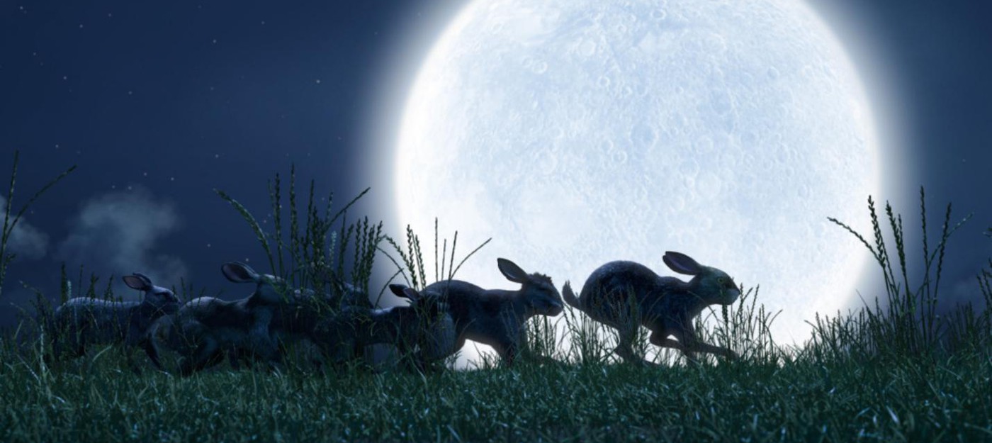 Опасные приключения кроликов в новом трейлере сериала "Обитатели холмов"