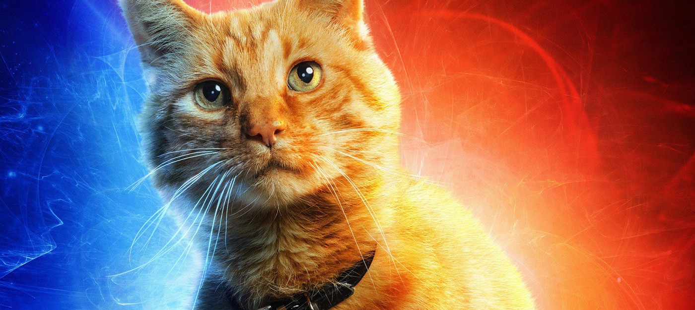 Сэмюэл Л. Джексон рассказал о работе с котом из фильма "Капитан Марвел"